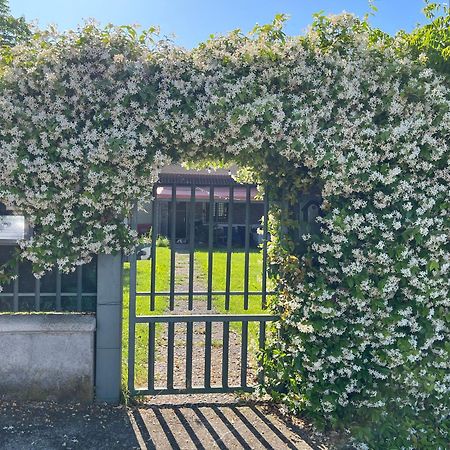 Garda Art&Garden Βίλα Volta Mantovana Εξωτερικό φωτογραφία