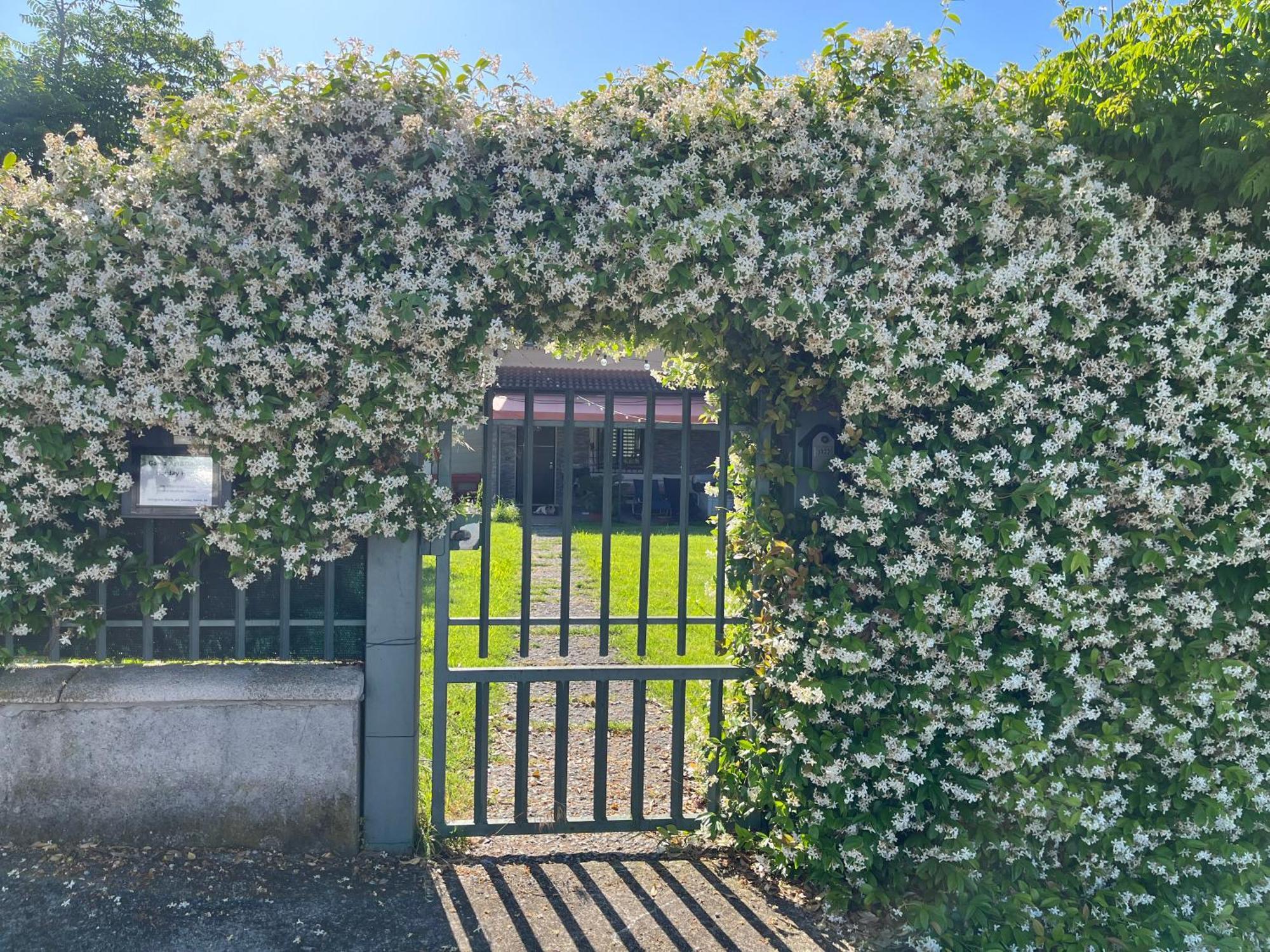 Garda Art&Garden Βίλα Volta Mantovana Εξωτερικό φωτογραφία