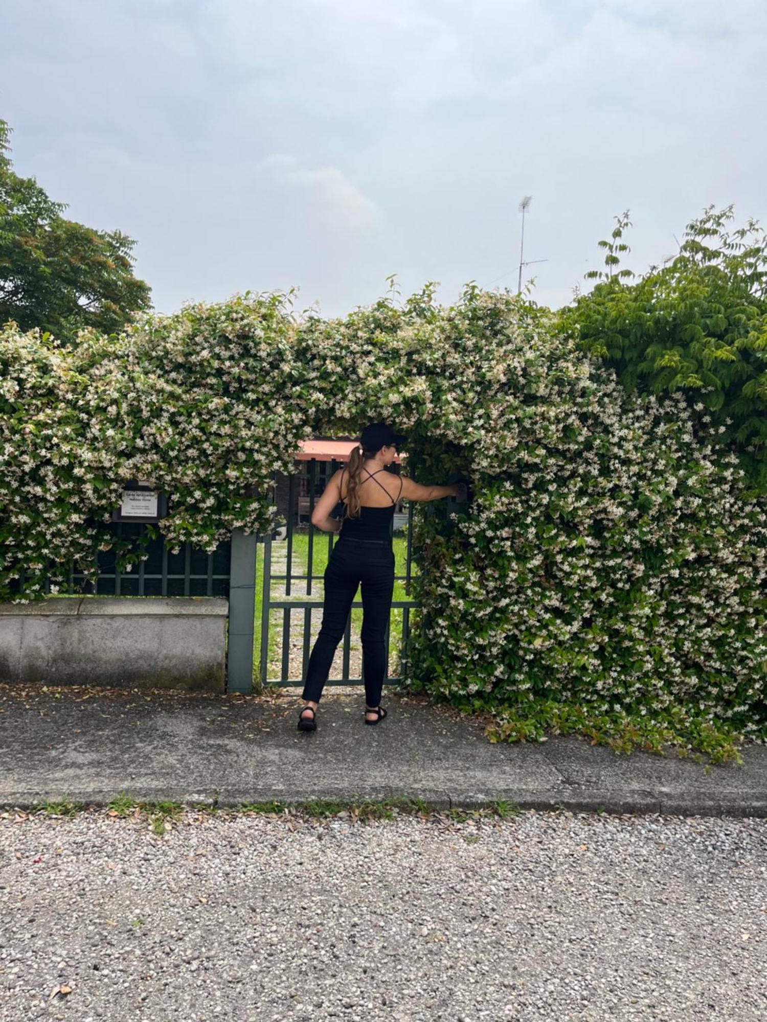 Garda Art&Garden Βίλα Volta Mantovana Εξωτερικό φωτογραφία